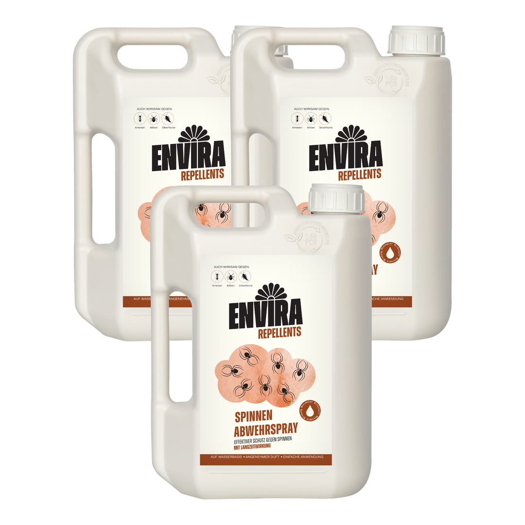 Envira Spinnen Abwehrspray 3 x 2L