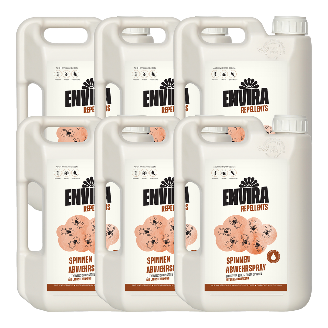 Envira Spinnen Abwehrspray 6 x 2L