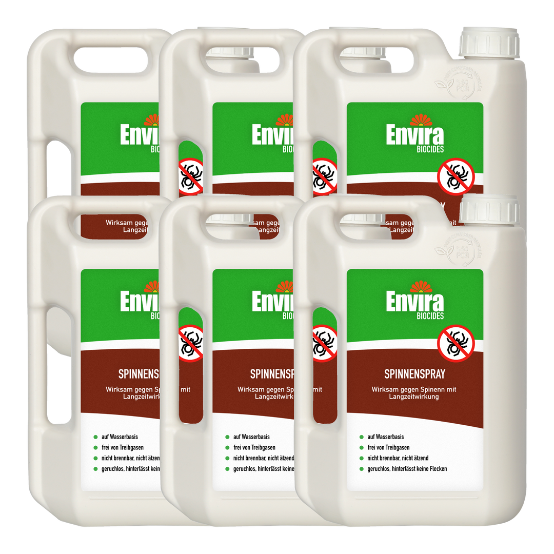 Envira Spinnenspray 6 x 2L