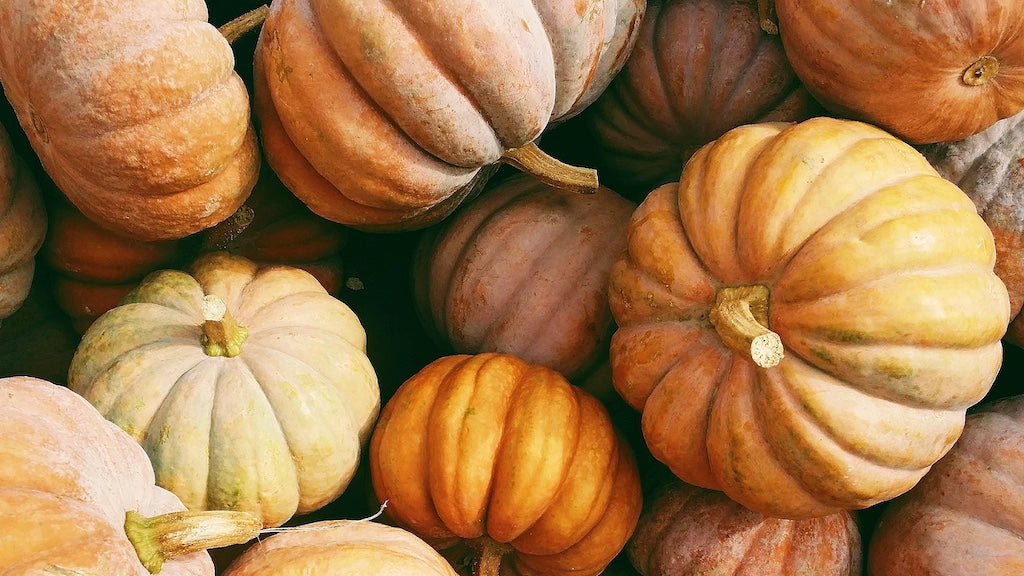 Der Herbst ist da!