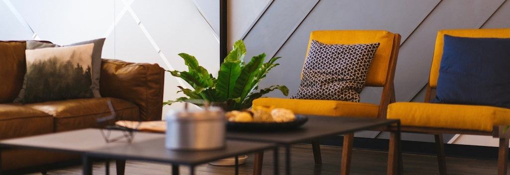 Pflanzen für bessere Raumluft