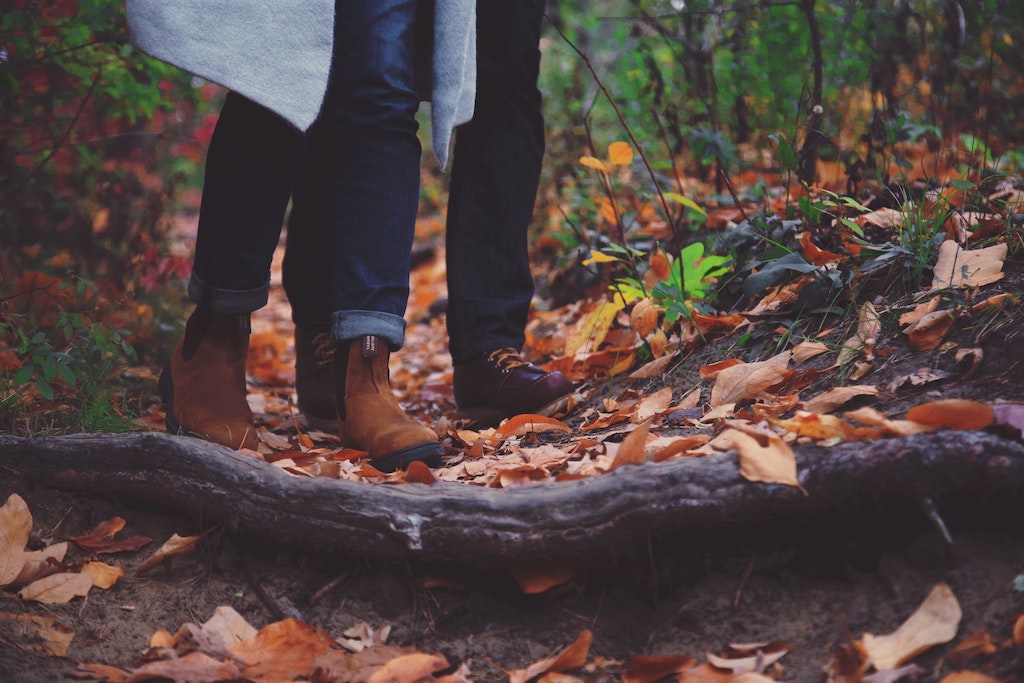 Schädlinge im Herbst vorbeugen