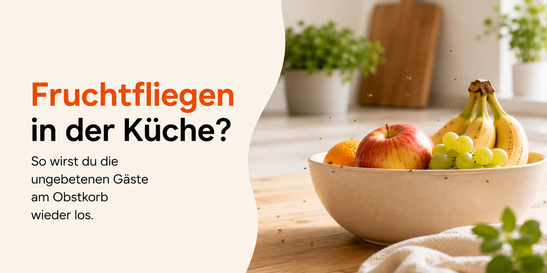 Fruchtfliegen in der Küche? So wirst du die ungebetenen Gäste am Obstkorb wieder los