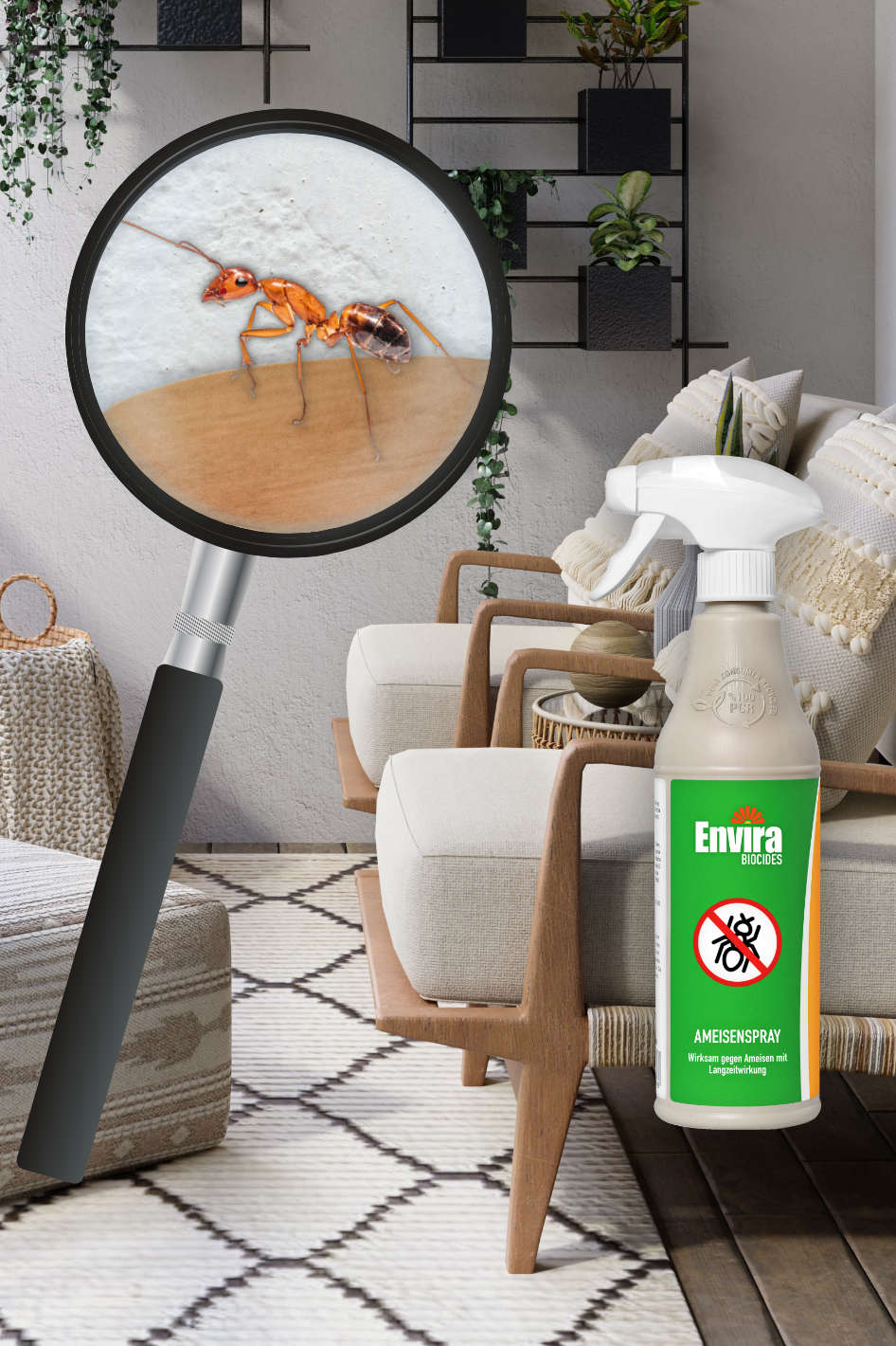 Envira Spray Anti-araignées - Anti-araignées à Action prolongée - sans  Odeur & à Base d'eau - 2L + 500 ML : : Jardin