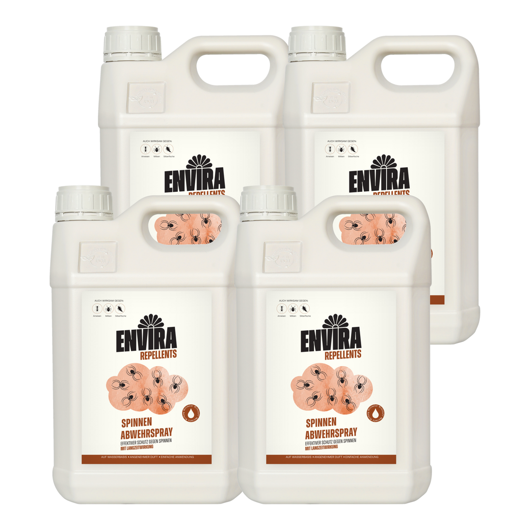 Envira Spinnen Abwehrspray 4 x 5L